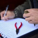 Schwytanie i wyzwolenie dzikiego ptactwa po identyfikacji odnóży, obrączkowanie i pomiary ciała do badań migracji