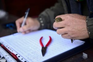 Schwytanie i wyzwolenie dzikiego ptactwa po identyfikacji odnóży, obrączkowanie i pomiary ciała do badań migracji