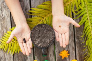 Jaki VAT na ziemię ogrodniczą?